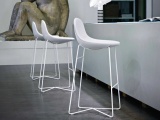  DOODLE TACCHINI Italia Forniture 