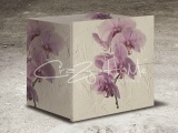 ������������ �������� ORCHIDEA  CRAZY HOME ������