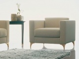 ������ SC1008/p OAK ������