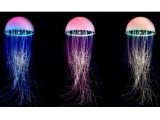 ��������� ���������� MEDUSA  QUASAR ���������