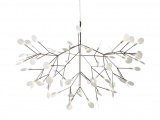   HERACLEUM II MOOOI 