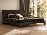������� BASIC DALL�AGNESE ������