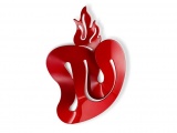 ��������� ���������� CUORE SLAMP ������