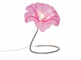 ���������� ���������� BLOOM  KARE-DESIGN ��������