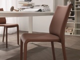 ���� ROYAL LIGHT CIACCI GROUP ������