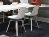 ���� PAPILLON ESTEL GROUP ������