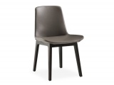 ���� VENTURA  POLIFORM ������