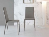 ���� ERAL BONALDO ������