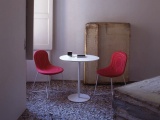 ���� DOODLE  TACCHINI Italia Forniture ������