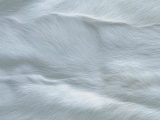 ����� GOAT B EBRU ���������