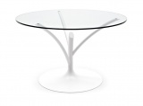 ���� ACACIA  CALLIGARIS ������