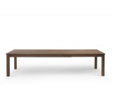 ���� LIVINGSTONE RIVA 1920 ������
