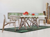 ���� SAGA  ROCHE BOBOIS �������