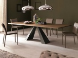 ���� ELIOT WOOD DRIVE CATTELAN ITALIA ������