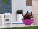 ���� SFERA VONDOM �������