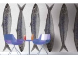  SARDINE DEMOUR & DEMOUR MOSAIQUES 