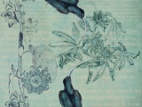 ���� HAIKU WALL&DECO ������