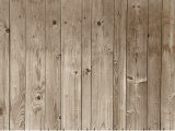���� TRAINING WALL&DECO ������