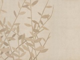 ���� COUPURE WALL&DECO ������