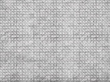 ���� SIT-IN WALL&DECO ������