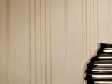 ���� HAUTE COUTURE STRIPES ARCHITECTS PAPER� ��������