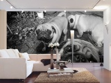 ���� PUPPY DOGS ARCHITECTS PAPER� ��������