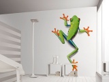 ���� FROG ARCHITECTS PAPER� ��������
