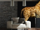 ���� GIRAFFE ARCHITECTS PAPER� ��������