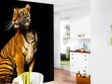 ���� TIGER ARCHITECTS PAPER� ��������