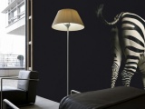 ���� ZEBRA ARCHITECTS PAPER� ��������