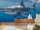���� WHITE SHARK ARCHITECTS PAPER� ��������