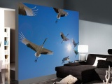 ���� FLY AWAY ARCHITECTS PAPER� ��������