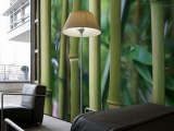 ���� BAMBOO ARCHITECTS PAPER� ��������