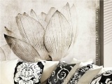 ���� LOTUS N.O.W.  EDIZIONI ������