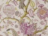 ���� LE GRAND CORAIL PIERRE FREY �������
