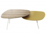 ������ TWEET CALLIGARIS ������