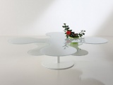 ������ FLOWER MINIFORMS ������