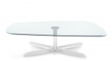 ������ SASSI  CALLIGARIS ������