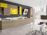   BRAVA  CUCINE LUBE 